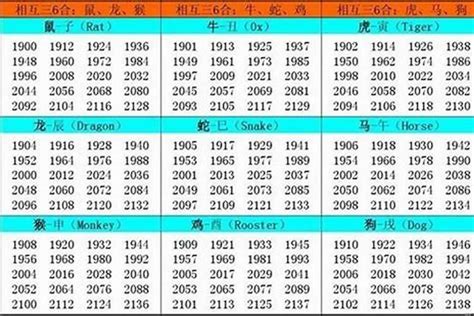 2002年屬|生肖查询：2002年属什么生肖？